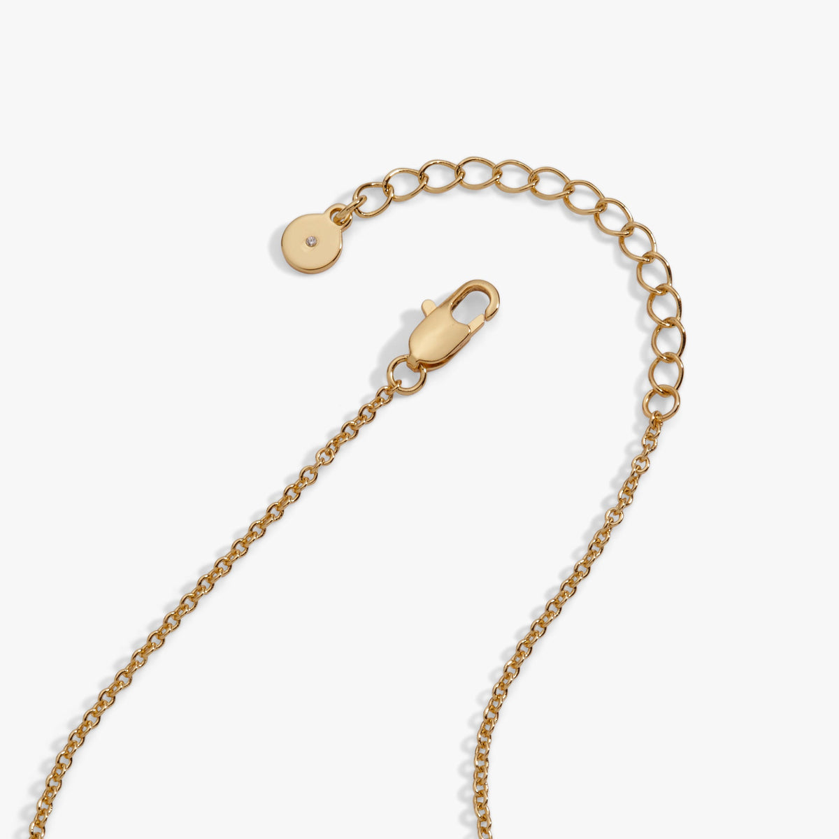 Alex and Ani Coffee Bean Necklace