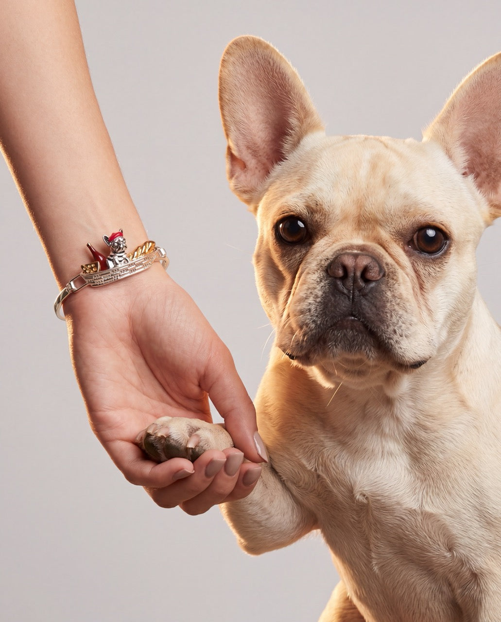 Alex and Ani French Bulldog Tension Bangle