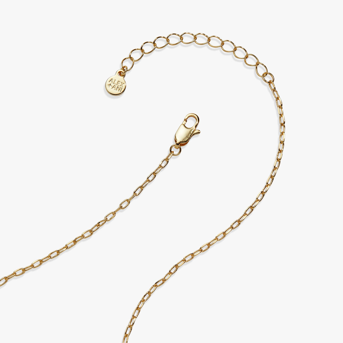 Alex and Ani Taco Truck Necklace
