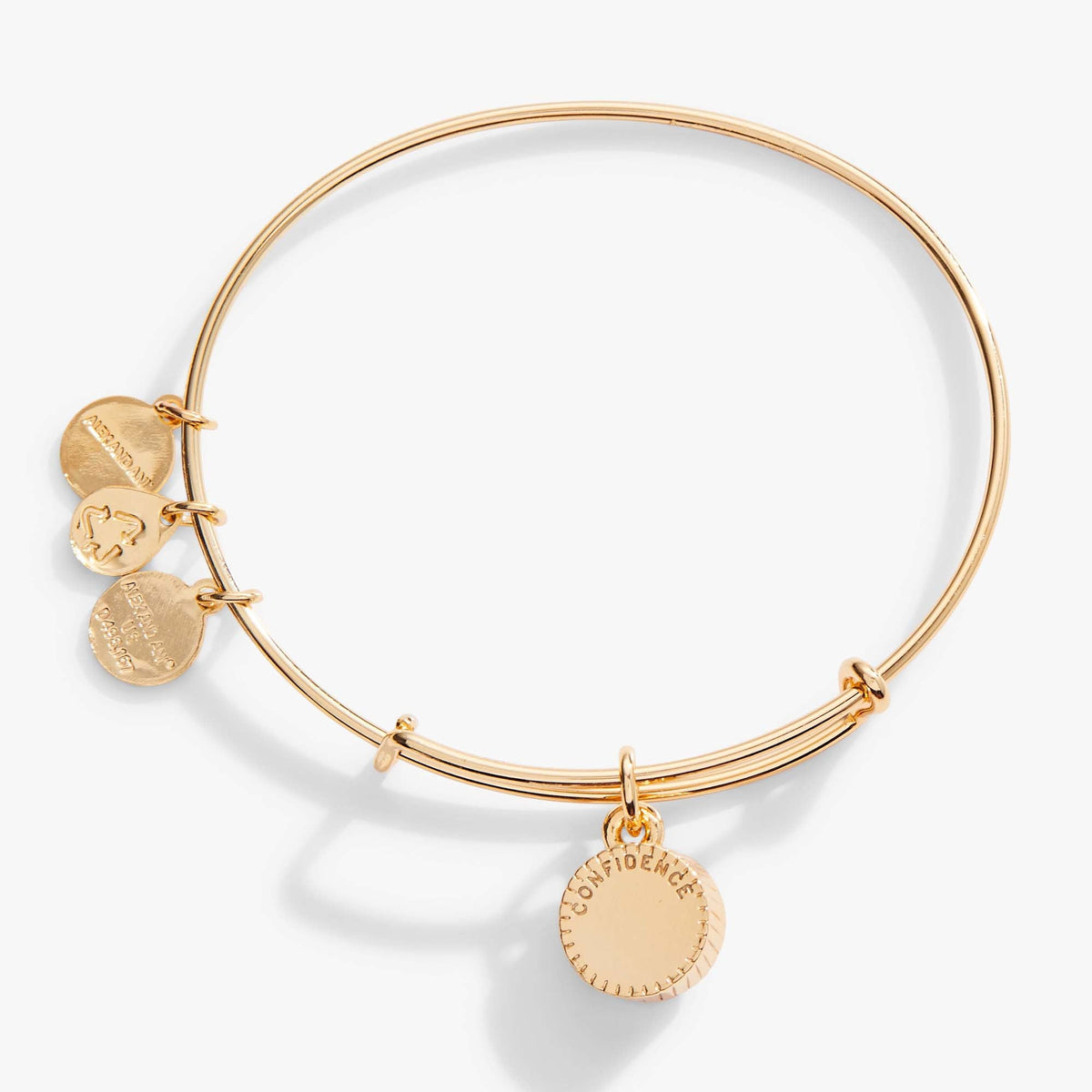 Alex and Ani Light Amethyst June Birthstone Charm Bangle
