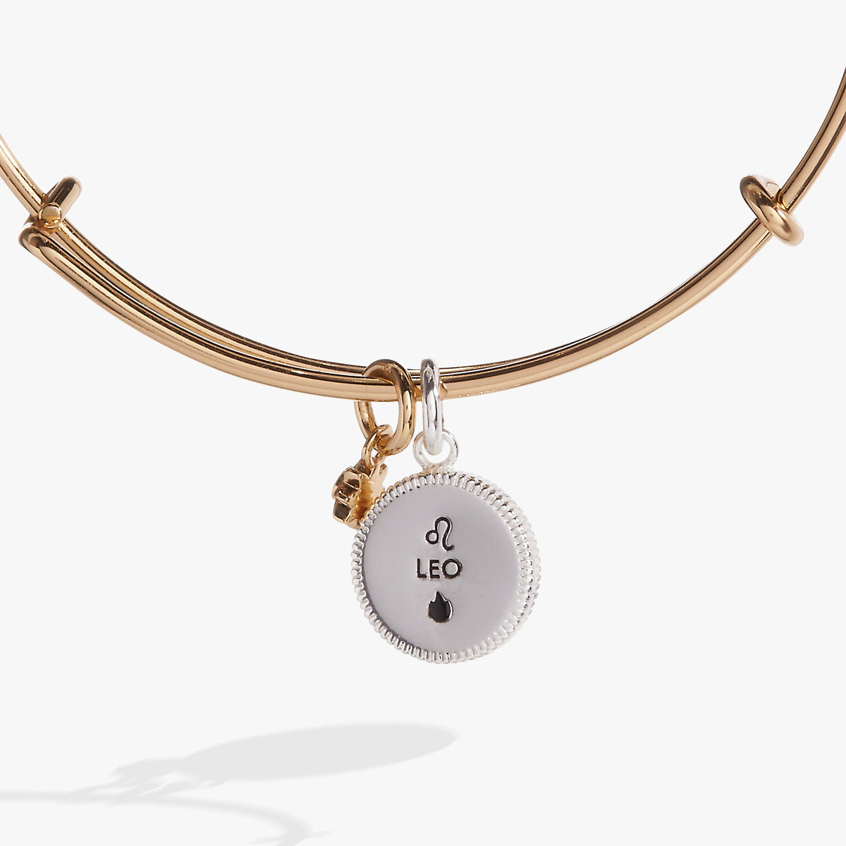 Alex and Ani Leo Zodiac Charm Bangle