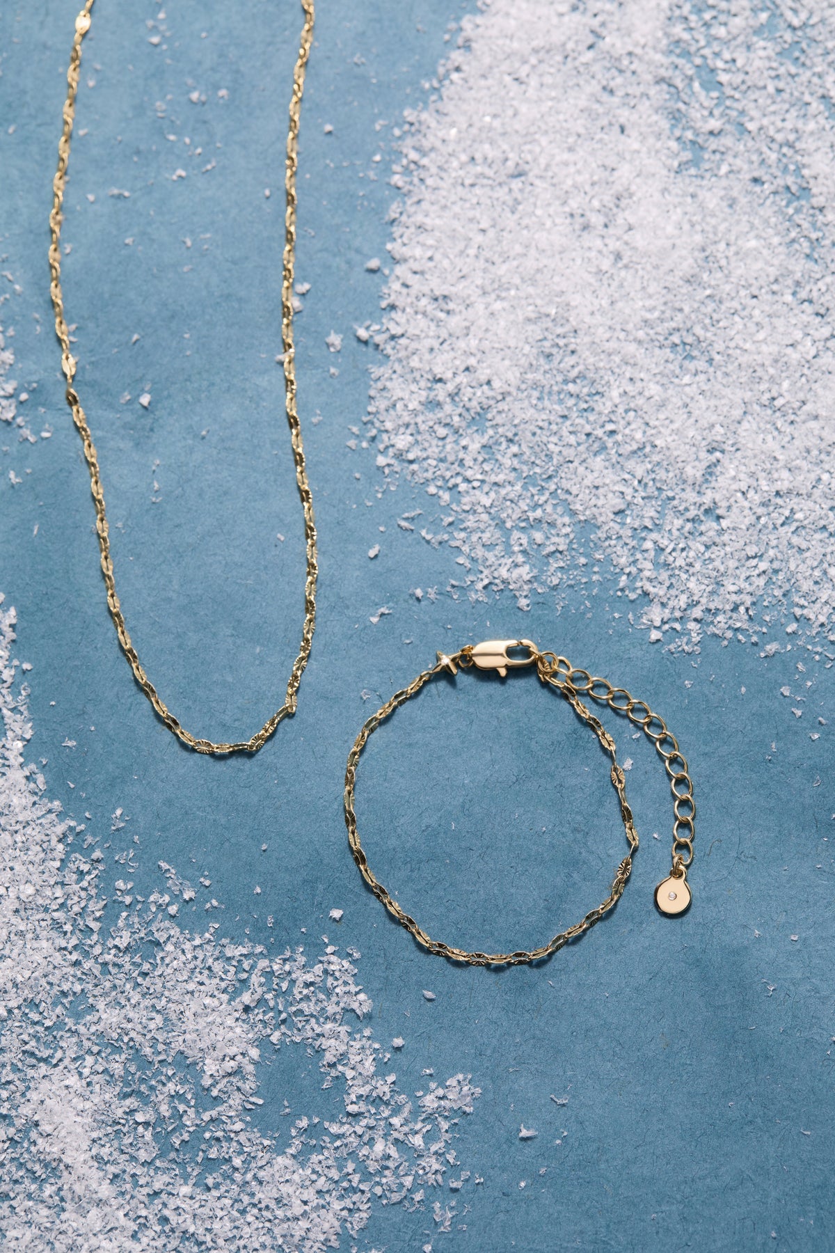 Alex and Ani Faceted Lip Chain Necklace