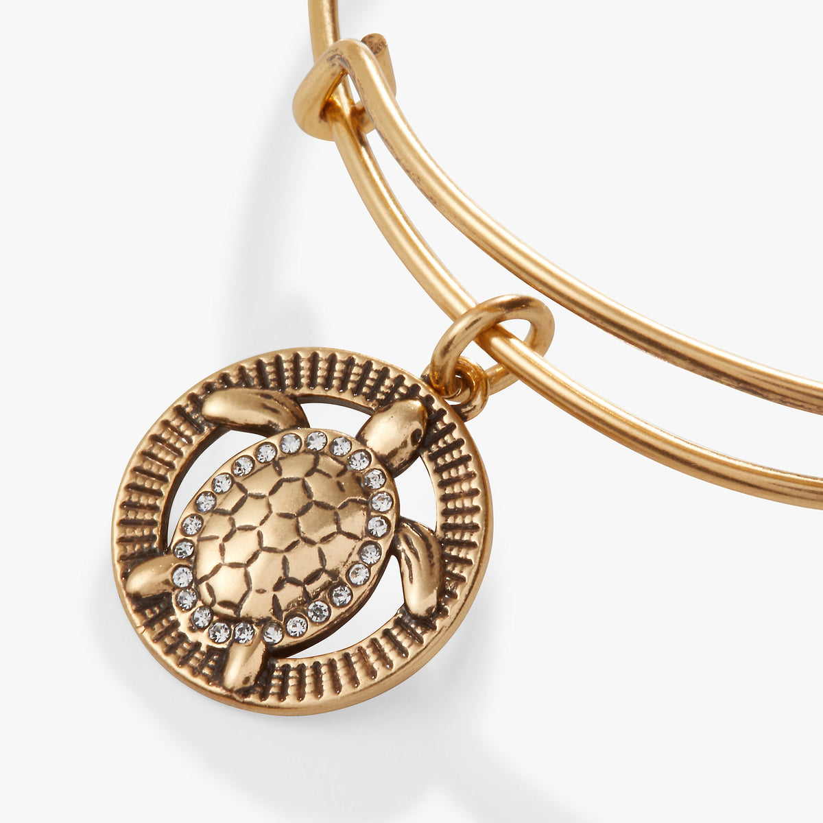 Alex and Ani Turtle Charm Bangle