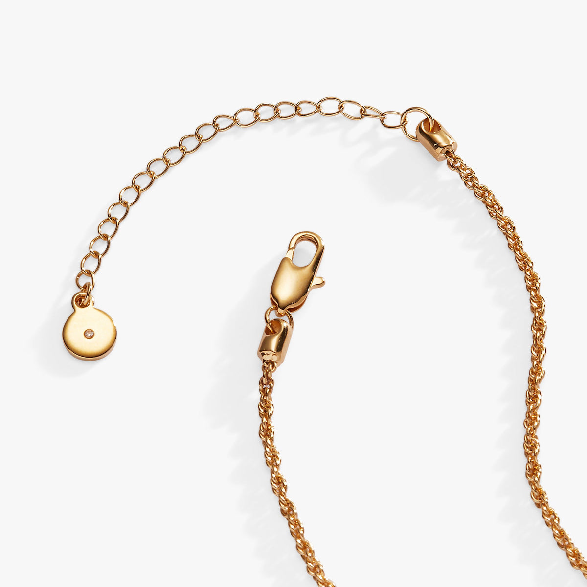 Alex and Ani Chocolate-Covered Strawberry Duo Charm Pendant Necklace