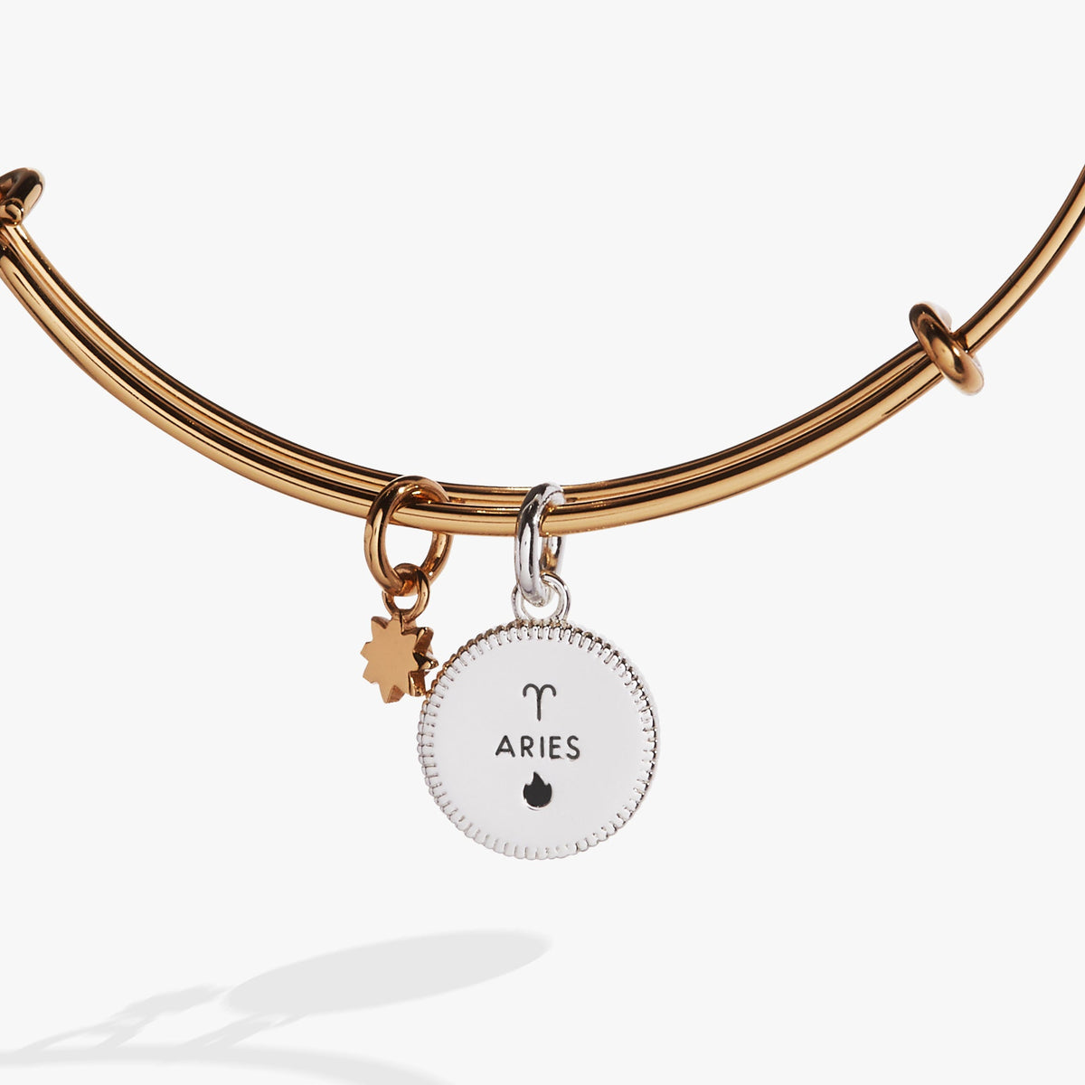 Alex and Ani Aries Zodiac Charm Bangle