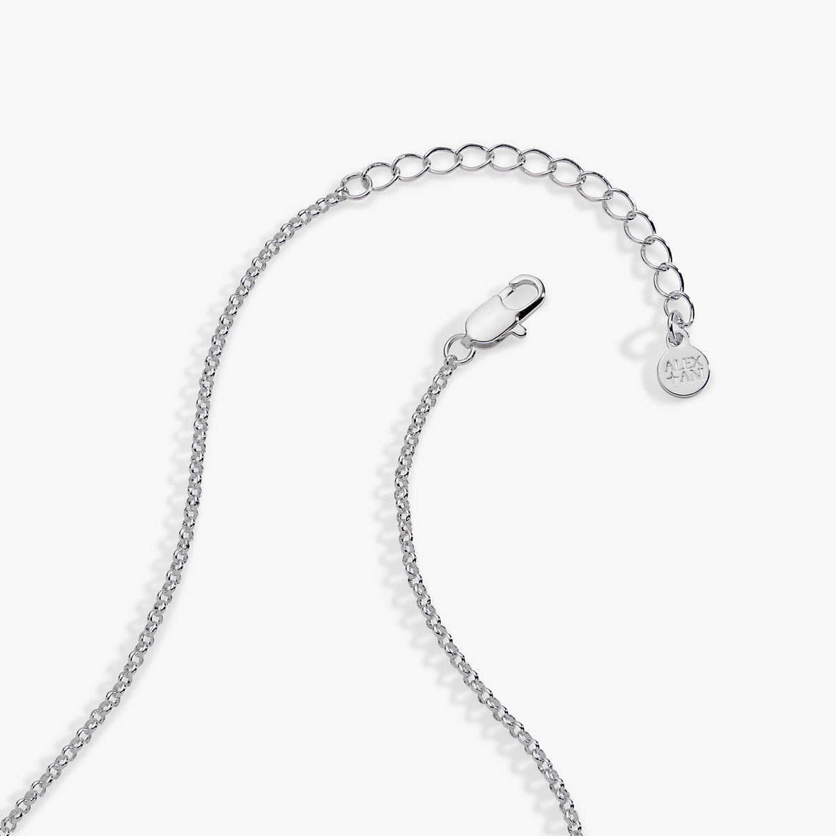 Alex and Ani Football Spinner Pendant