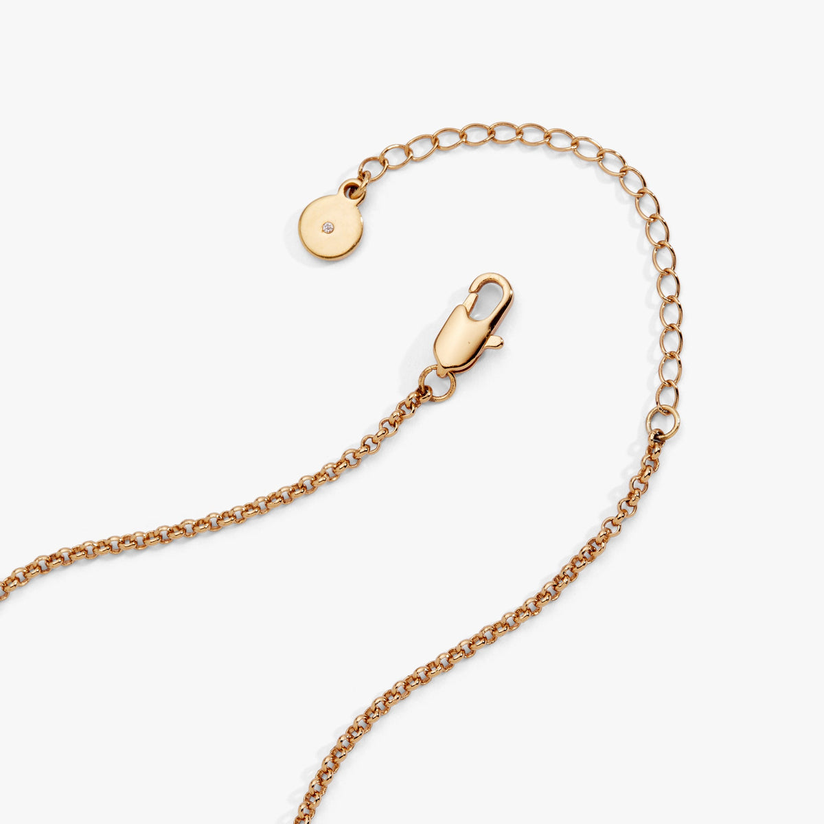 Alex and Ani Hanukkah Duo Charm Necklace