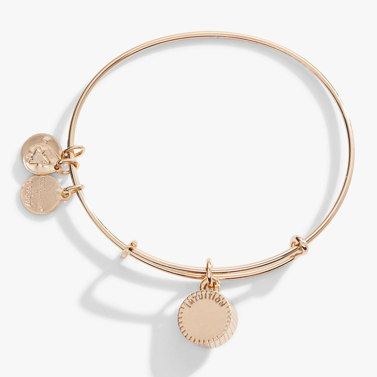 Alex and Ani Amethyst February Birthstone Charm Bangle