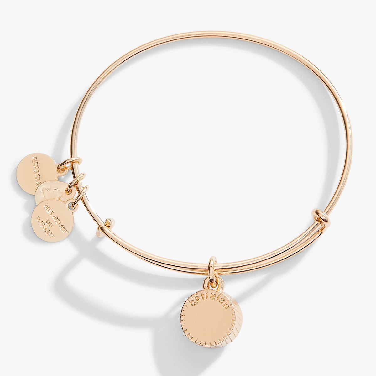 Alex and Ani Blue Zircon December Birthstone Charm Bangle