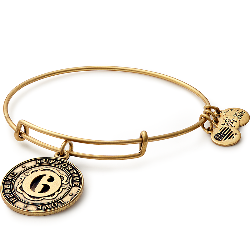 Alex and Ani Number 6 Charm Bangle Bracelet