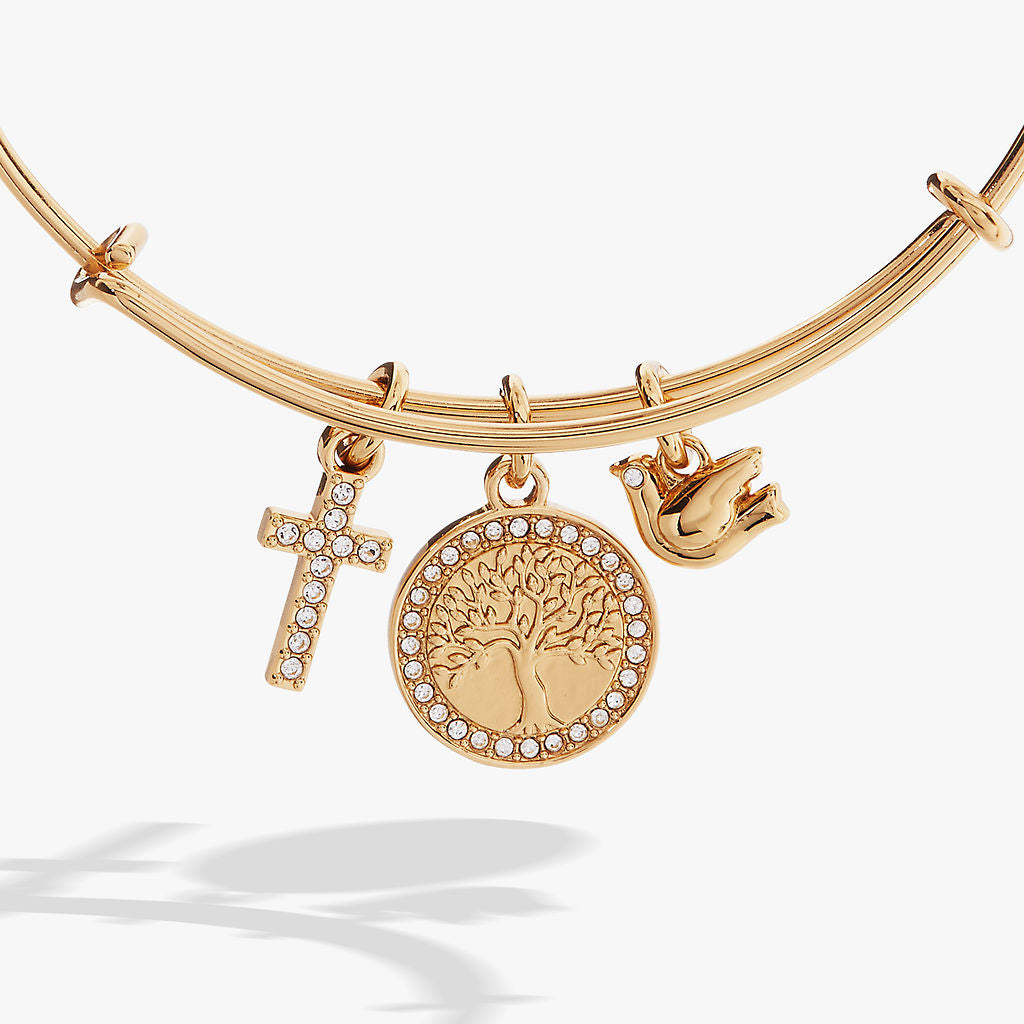 Alex and Ani Faith and Family Tree of Life Charm Bangle