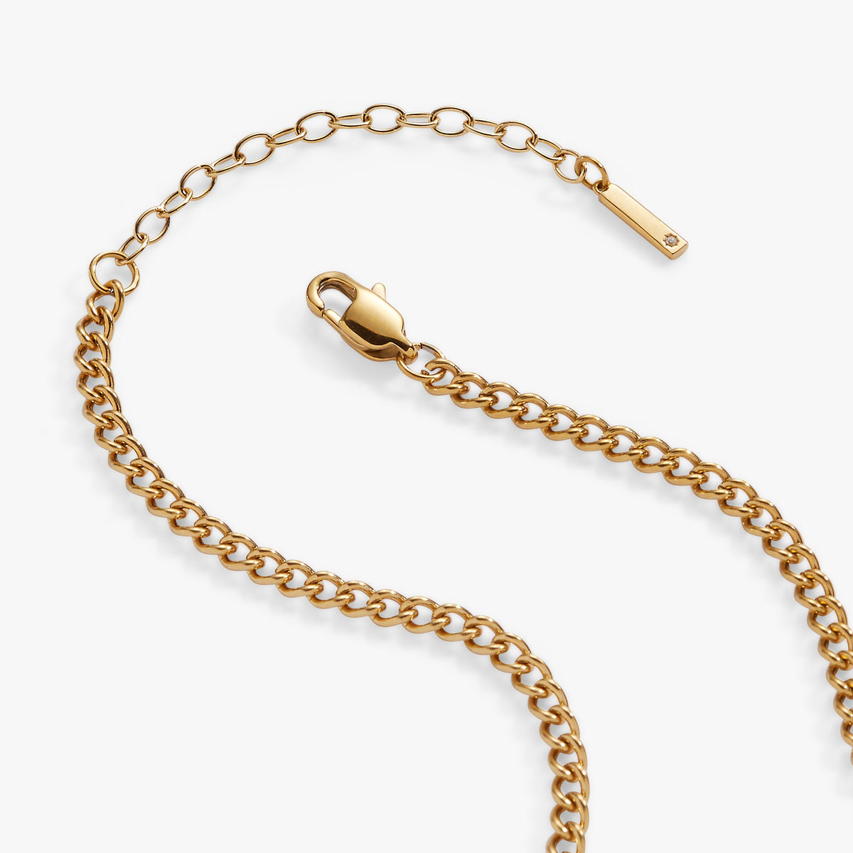 Alex and Ani Mama curb chain neck