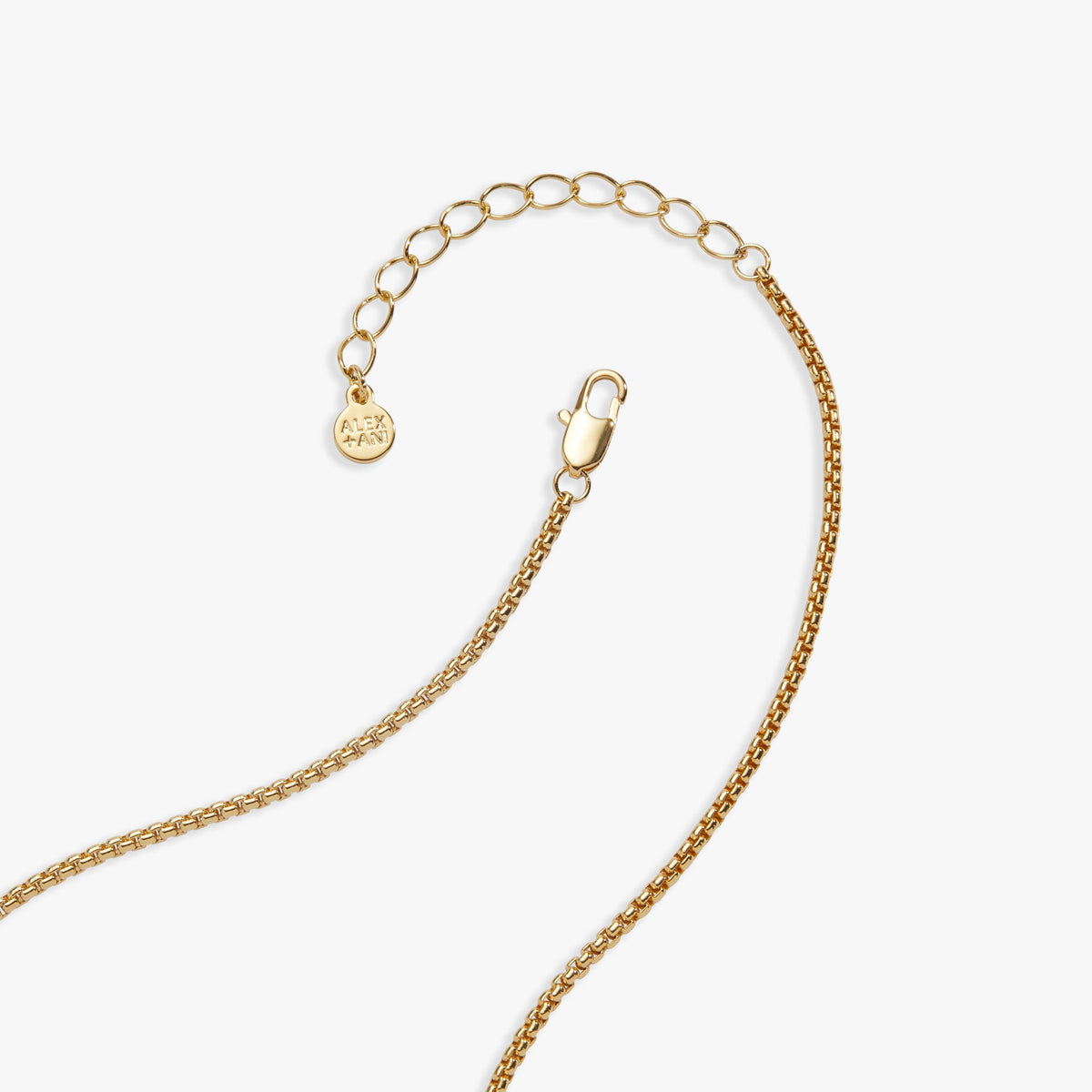Alex and Ani Soccer Ball "Control The Ball, Command The Game" Locket Necklace