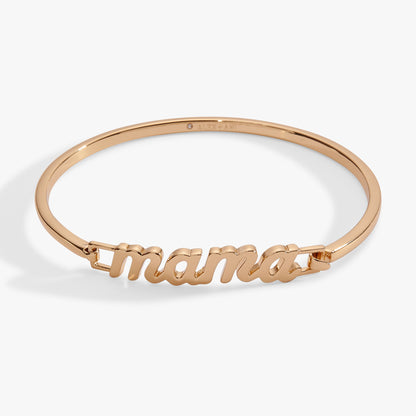 Alex and Ani Berry Best Mama Bracelet Bundle