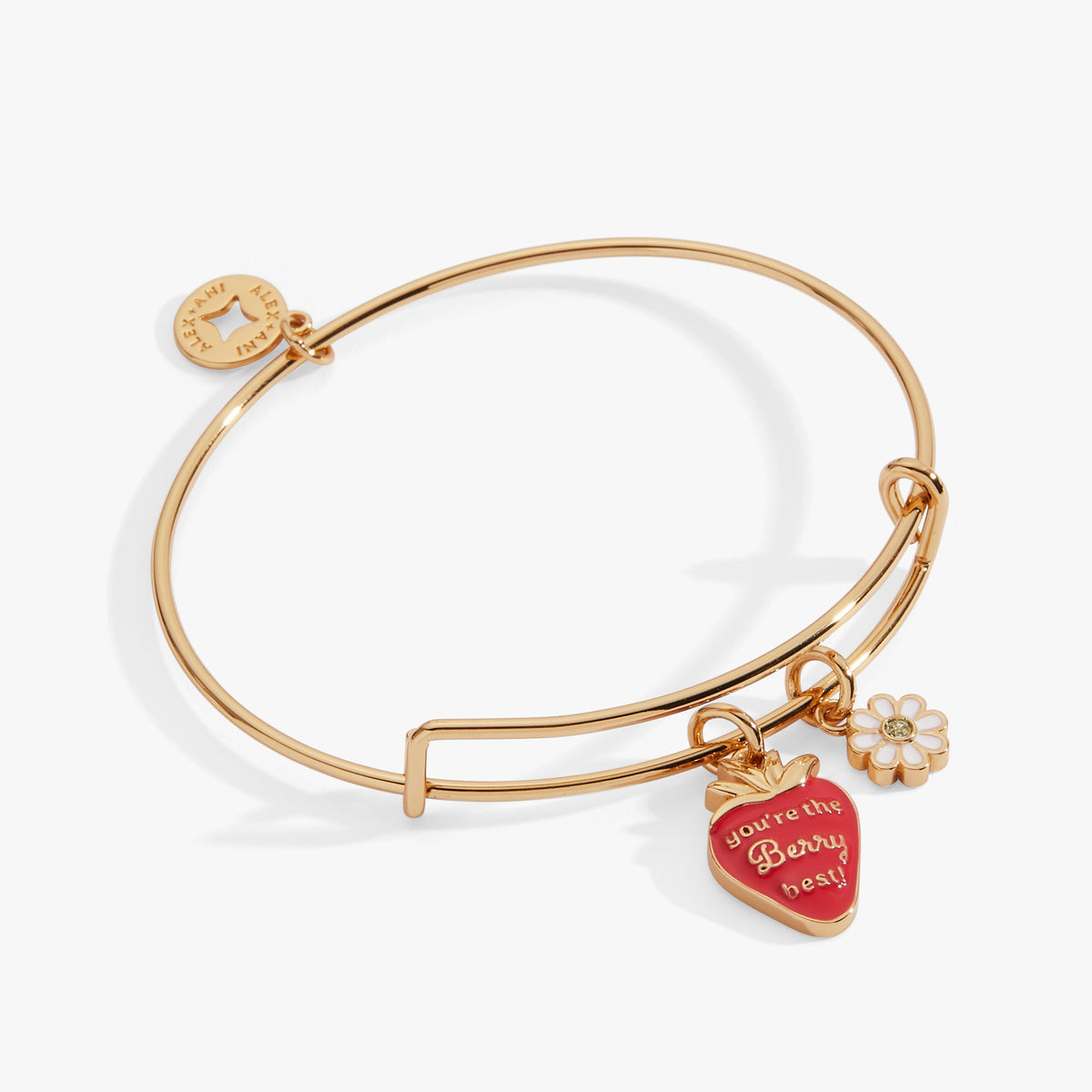 Alex and Ani Berry Best Mama Bracelet Bundle