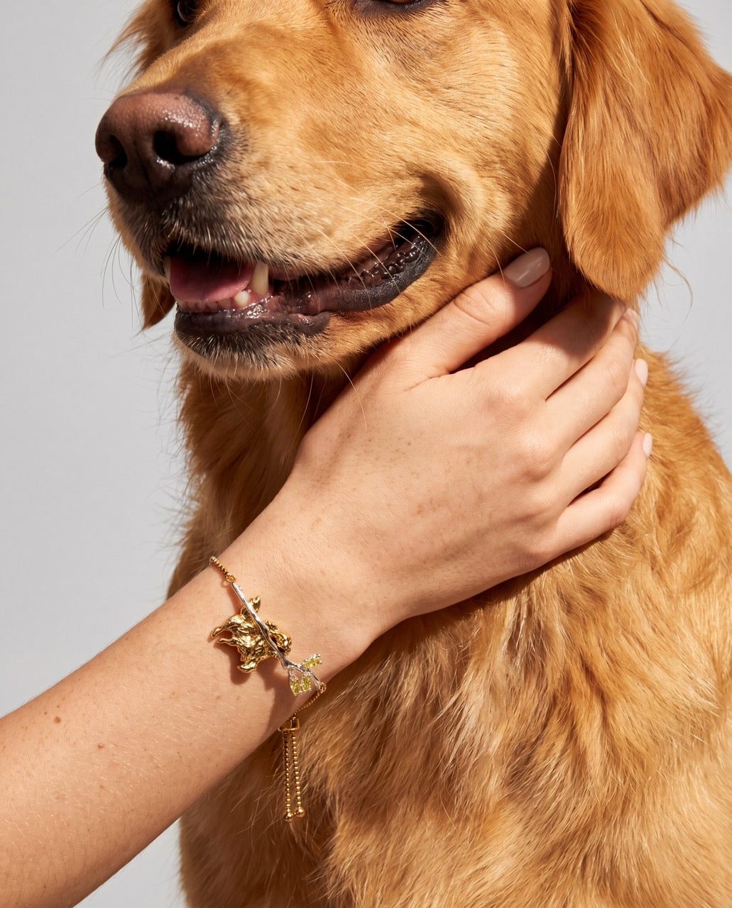 Alex and Ani Golden Retriever Bracelet