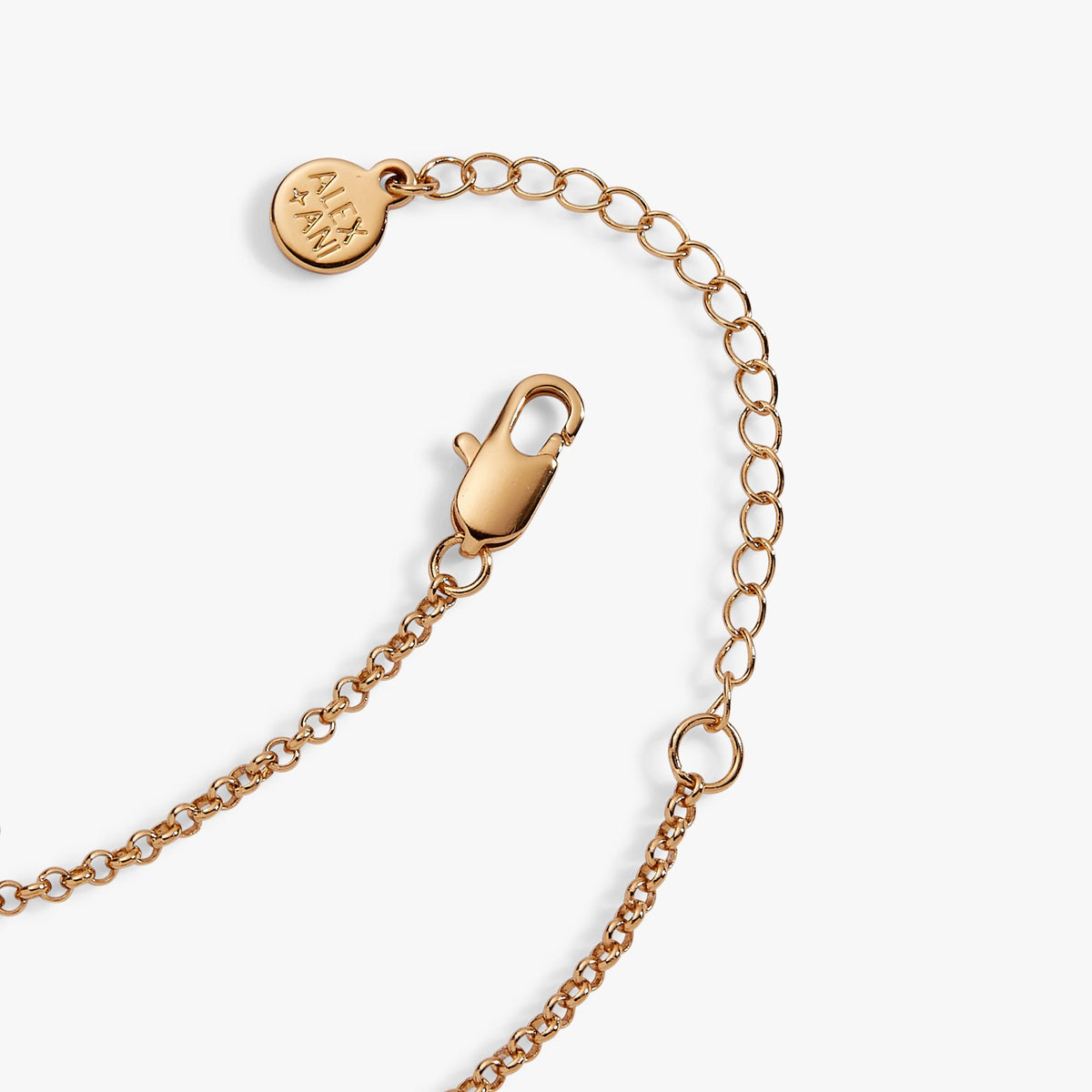 Alex and Ani Lobster Boil 'Let's Get Crackin!' Inline Charm Bracelet