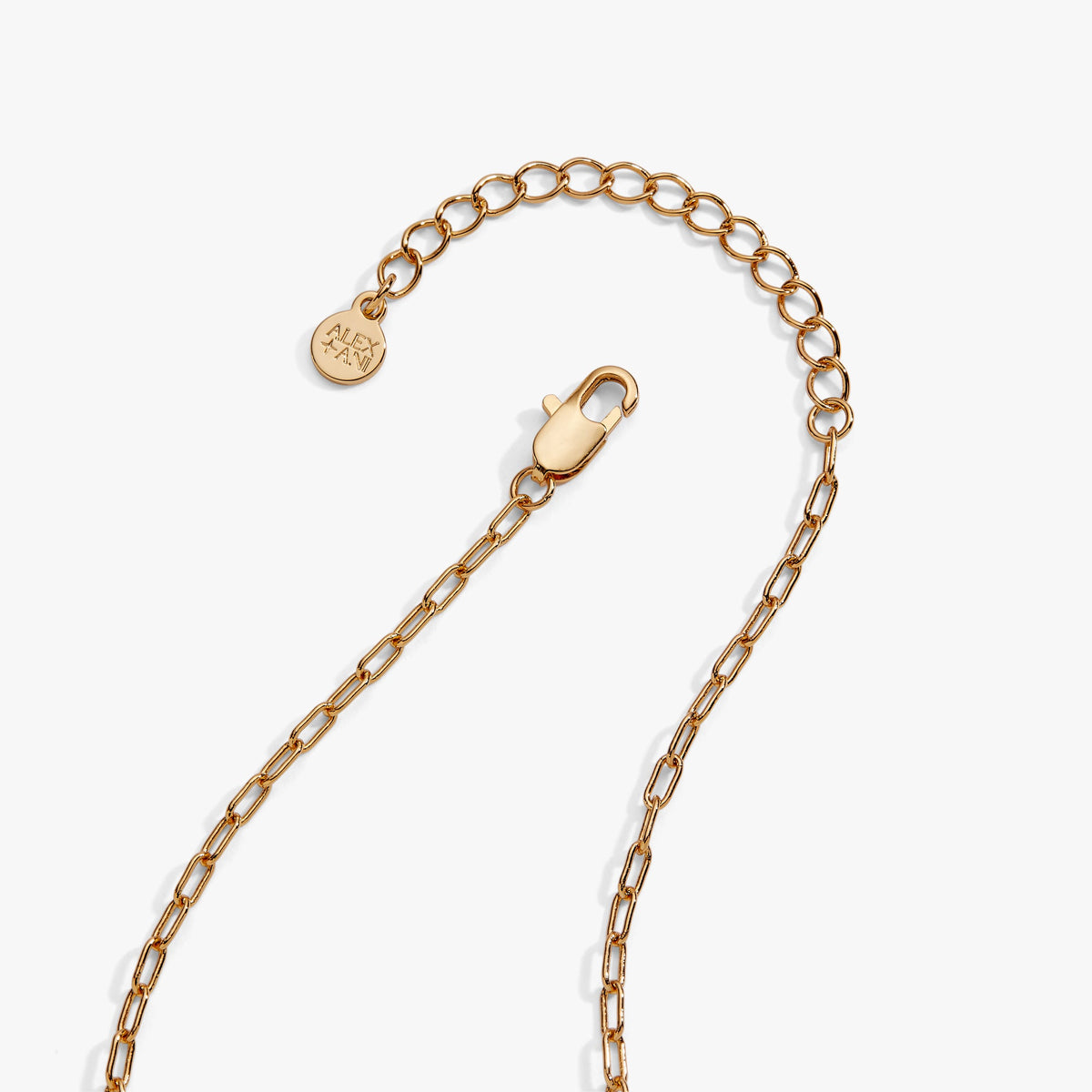Alex and Ani Pasta Girl 'Anything Is Pastable' Ravioli Locket Pendant