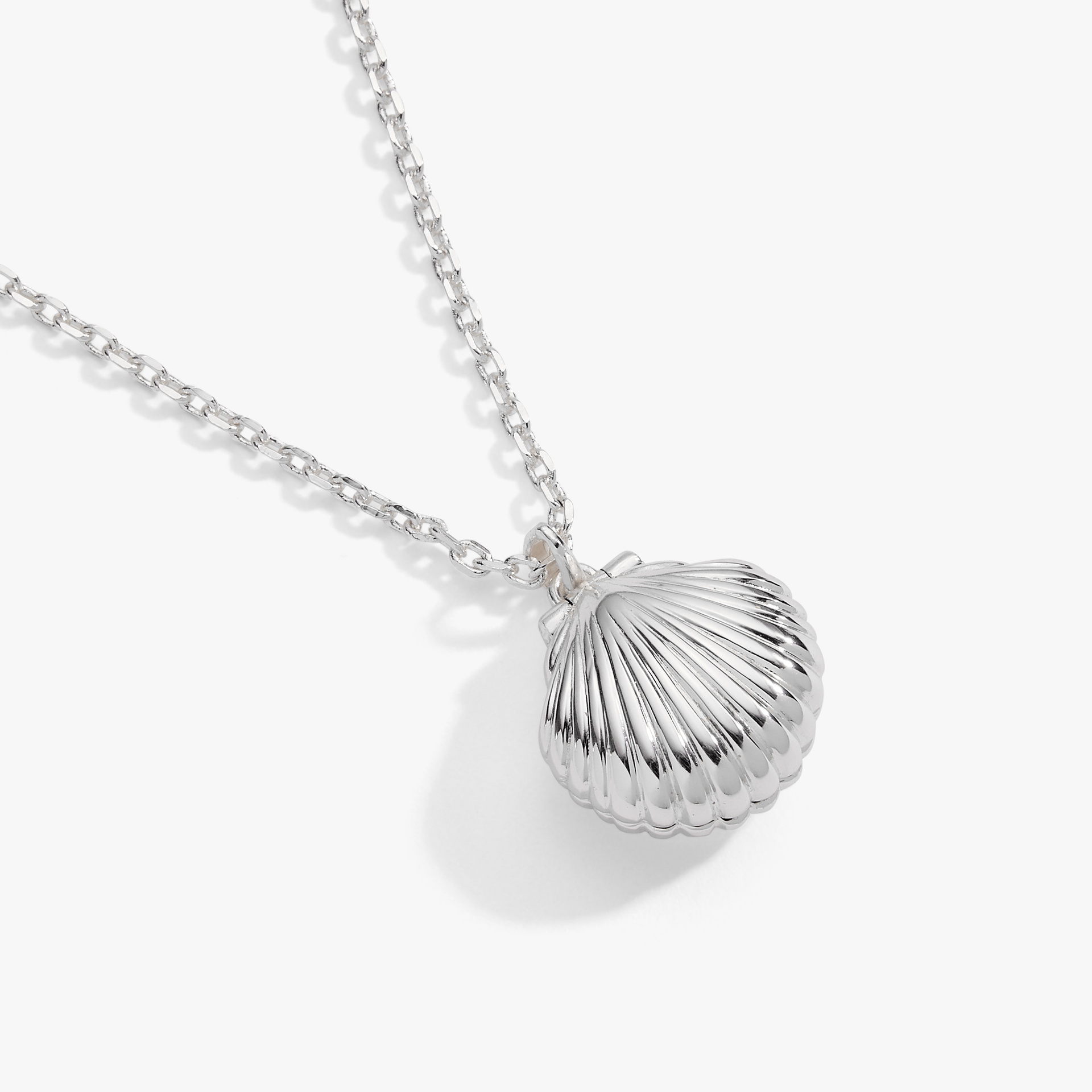 Alex and Ani Salt + Sea 'Seashells Are Love Letters In The Sand' Seashell Locket Pendant