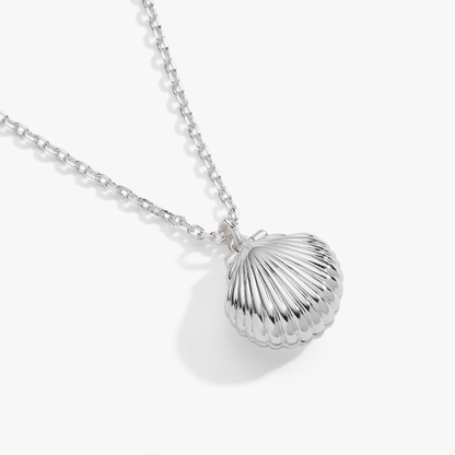 Alex and Ani Salt + Sea 'Seashells Are Love Letters In The Sand' Seashell Locket Pendant