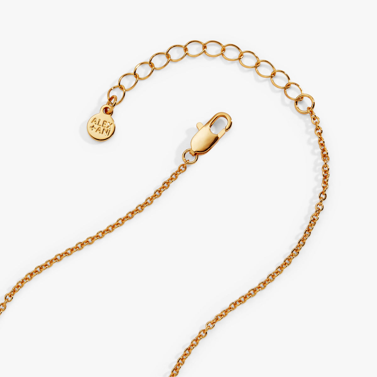 Alex and Ani There Cannoli Be You Multi Charm Cluster Necklace