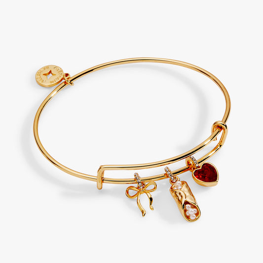 Alex and Ani There Cannoli Be You Multi Charm Bangle