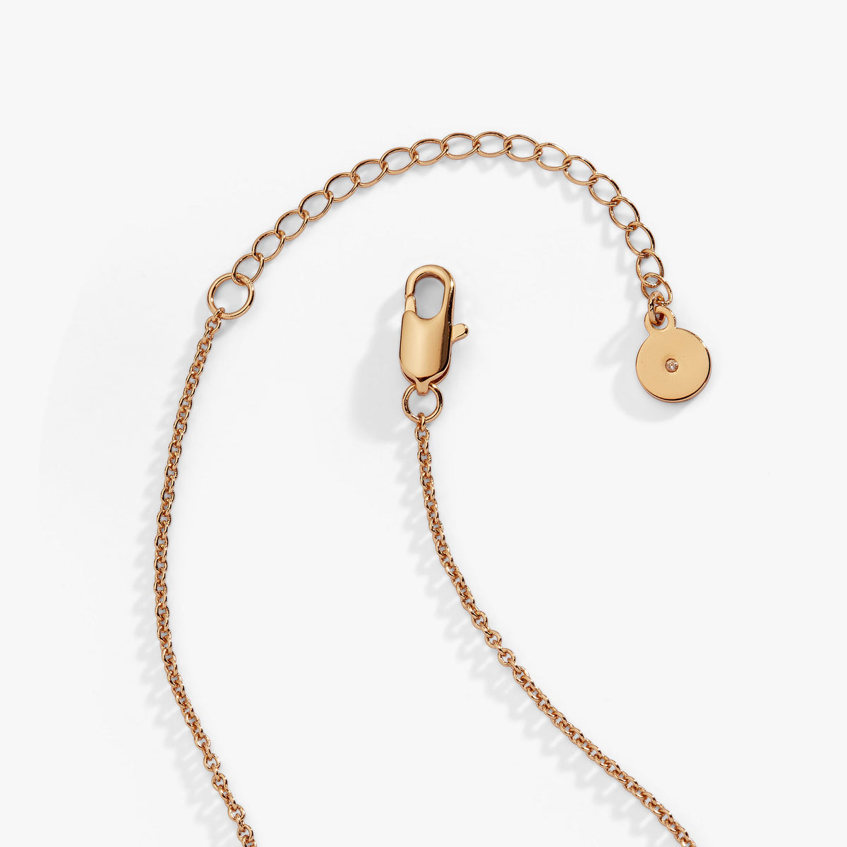 Alex and Ani Horse Pendant