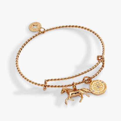 Alex and Ani Horse Rope Textured Charm Bangle