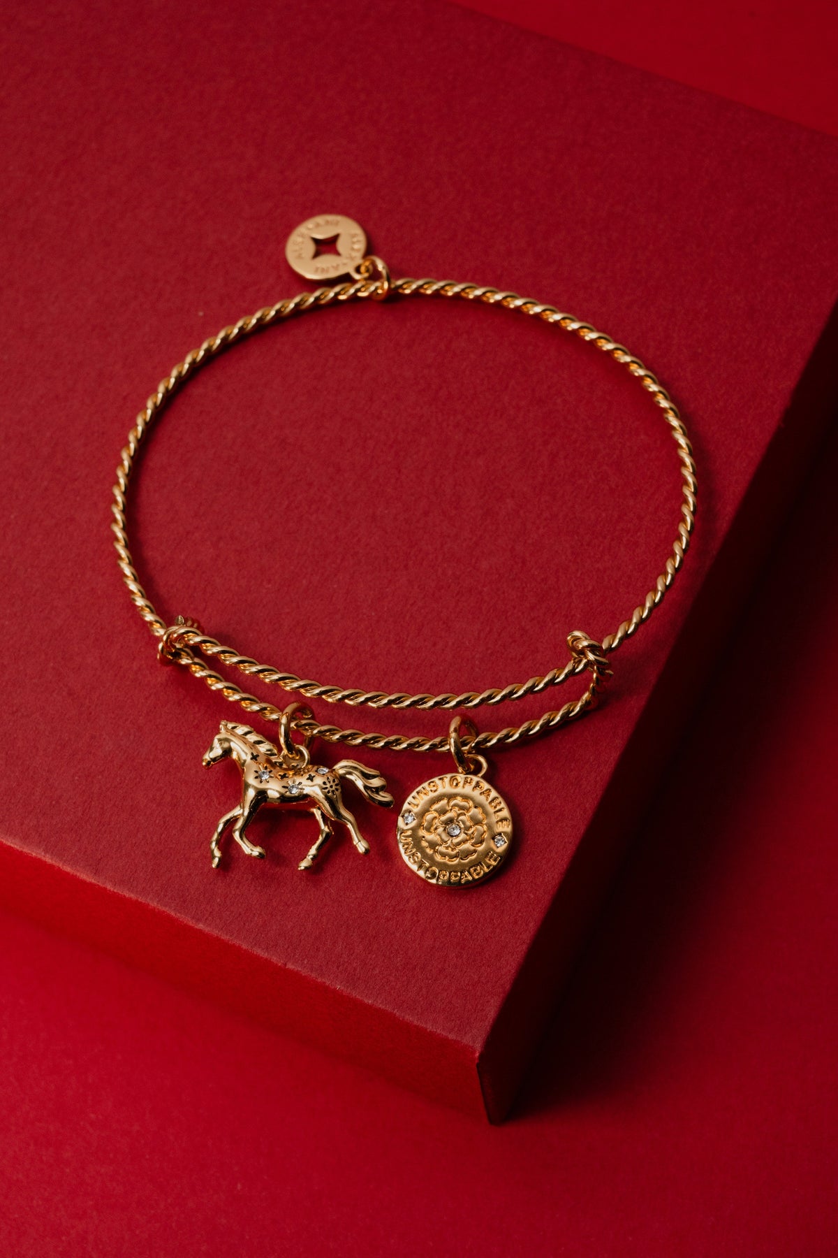 Alex and Ani Horse Rope Textured Charm Bangle