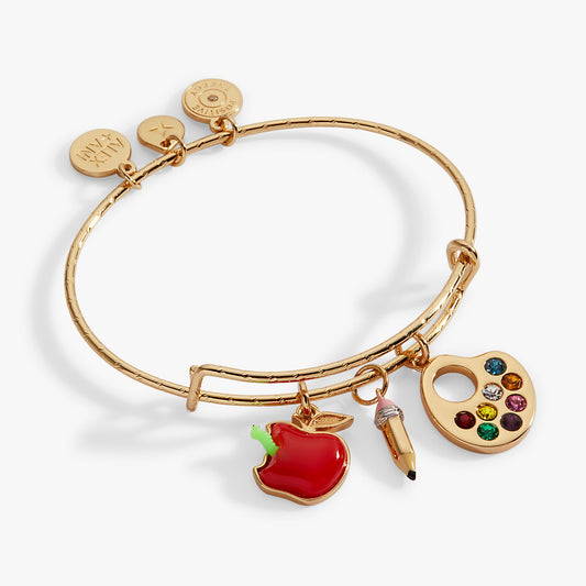 Alex and Ani Teacher’s Pet Multi Charm Textured Bangle