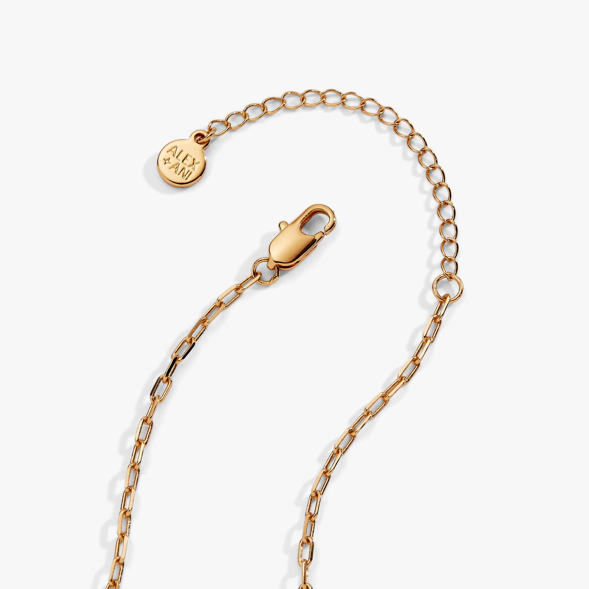 Alex and Ani Lobster Boil Necklace