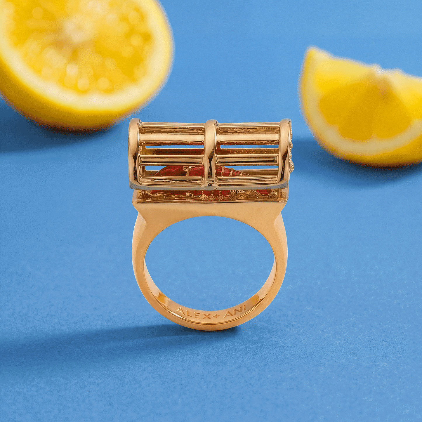 Alex and Ani Lobster Boil Hinged Cage Ring