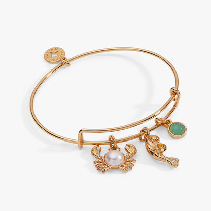 Alex and Ani Sea Creature Multi Charm Bangle