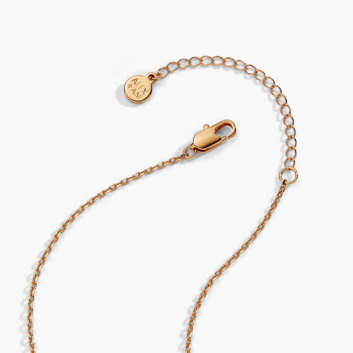 Alex and Ani Manatee Pendant