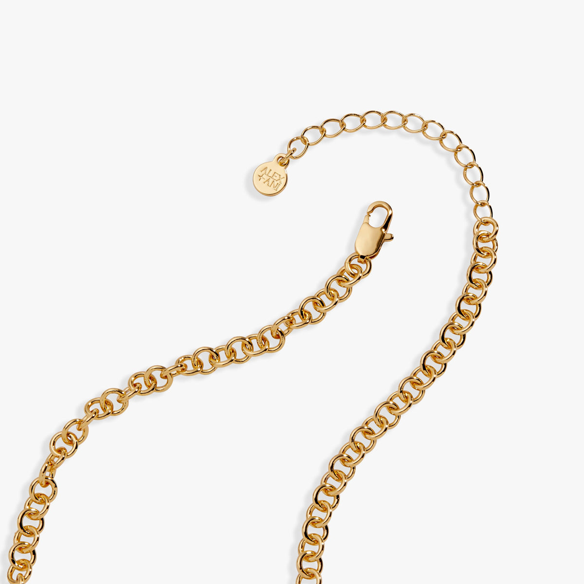 Alex and Ani Farmers' Market Charm Necklace