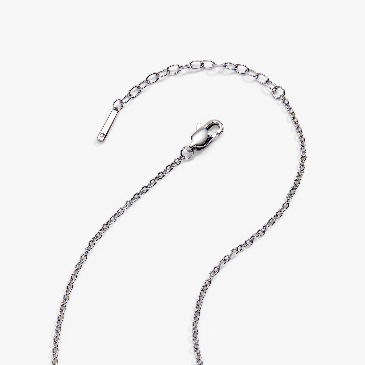 Alex and Ani Birds of a Feather Locket Pendant