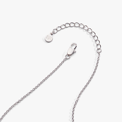 Alex and Ani Watering Can Pendant Necklace
