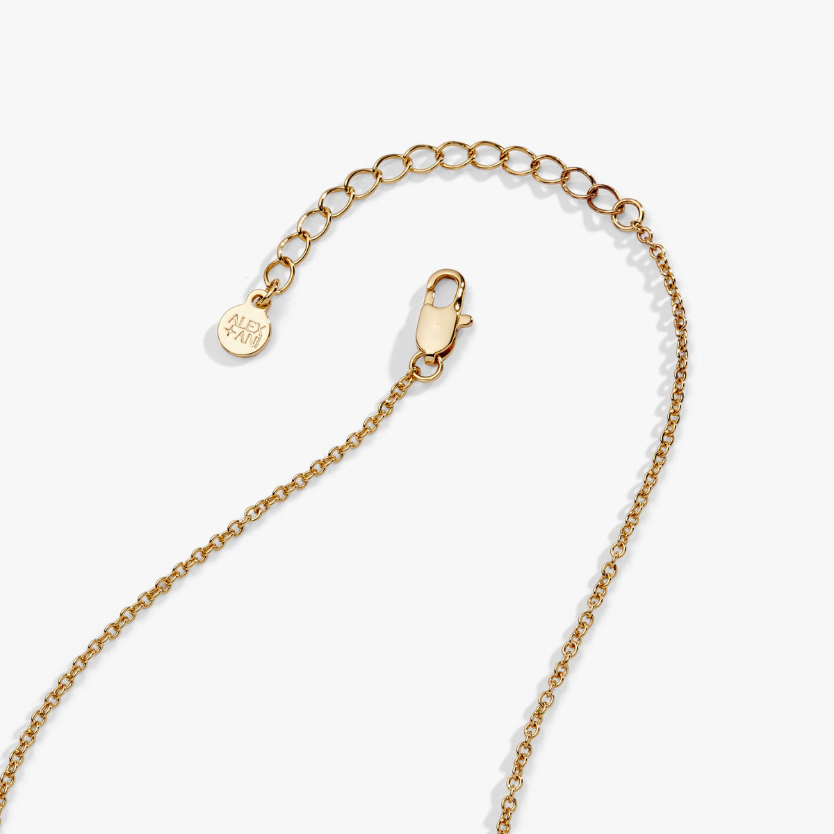 Alex and Ani Pet Mom Nameplate Necklace
