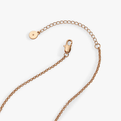 Alex and Ani Unsung Hero' Healthcare Charm Necklace