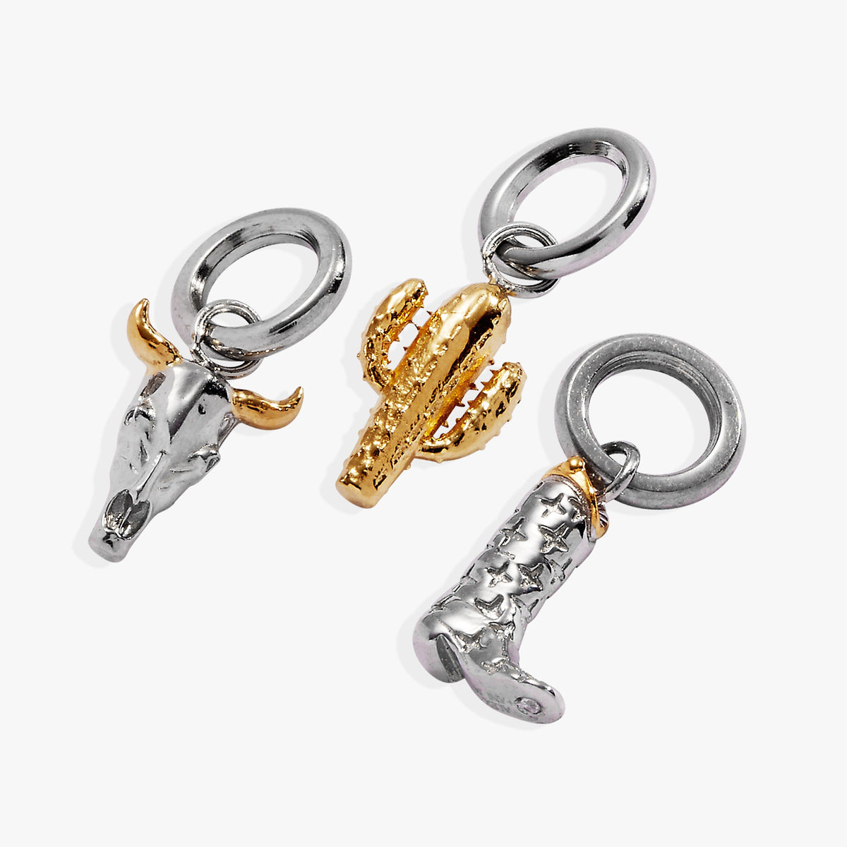 Alex and Ani Desert Vacation Mini Charm Set