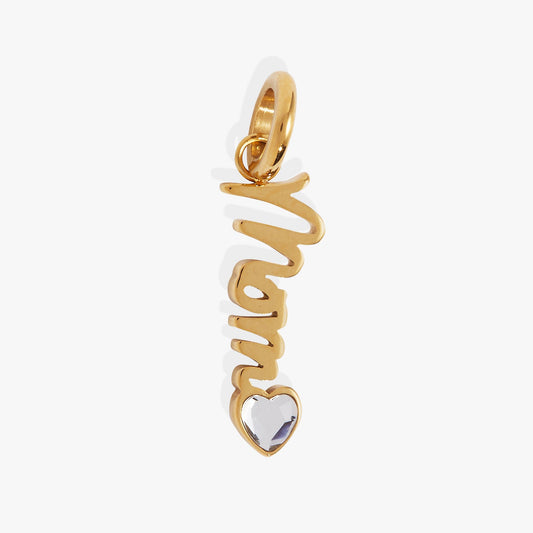 Alex and Ani Mom' Elongated Interchangeable Charm