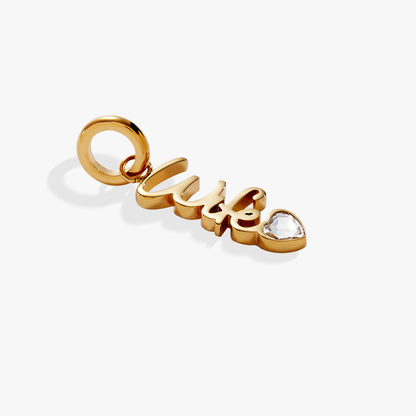 Alex and Ani Wife' Elongated Interchangeable Charm