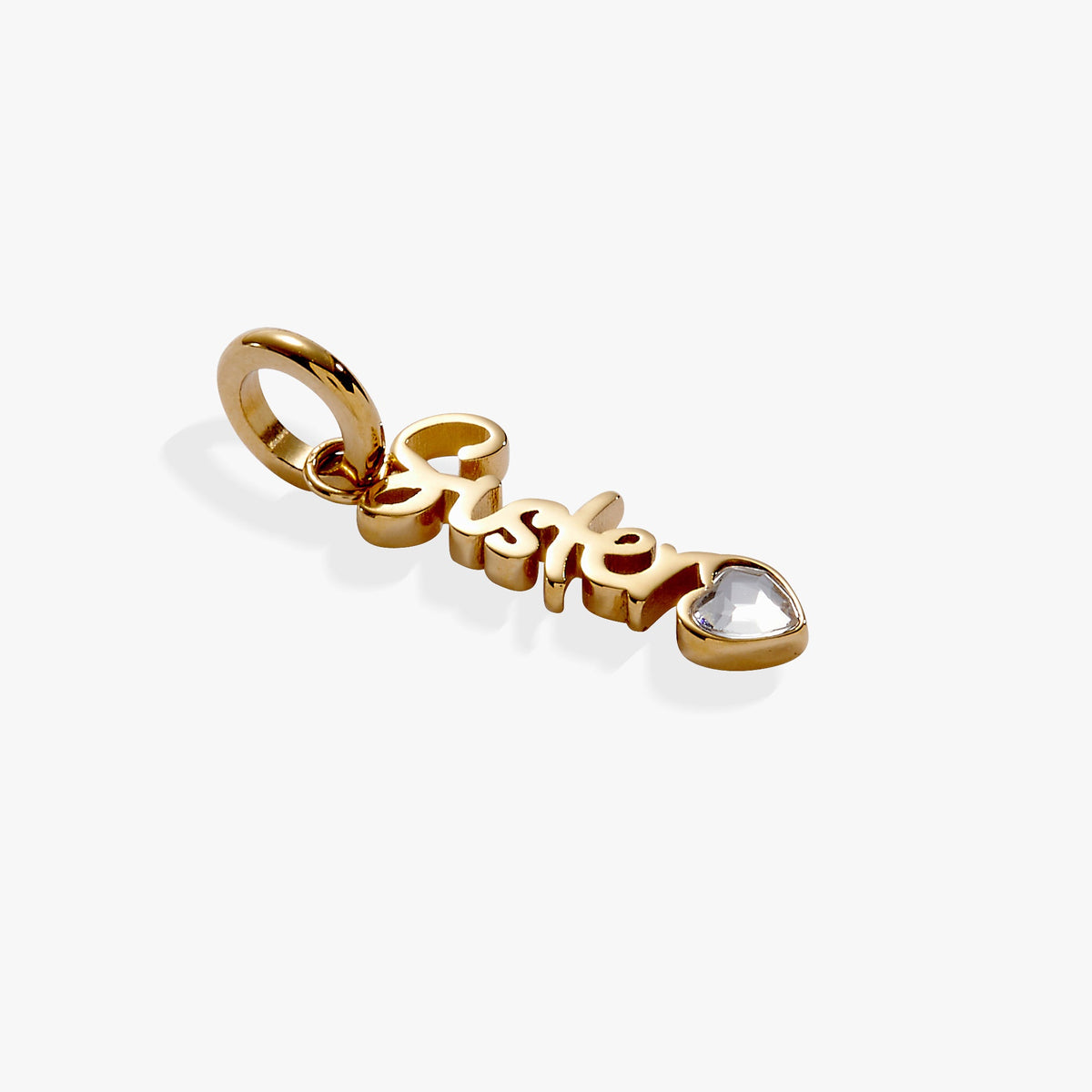 Alex and Ani Sister' Elongated Interchangeable Charm