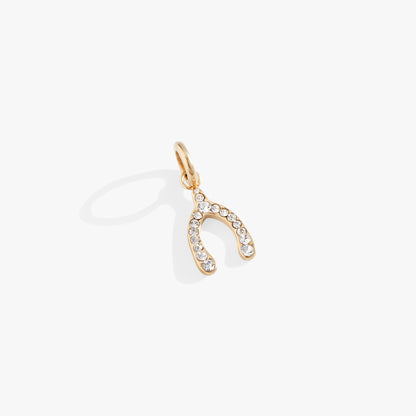 Alex and Ani Pave Wishbone Interchangeable Charm​