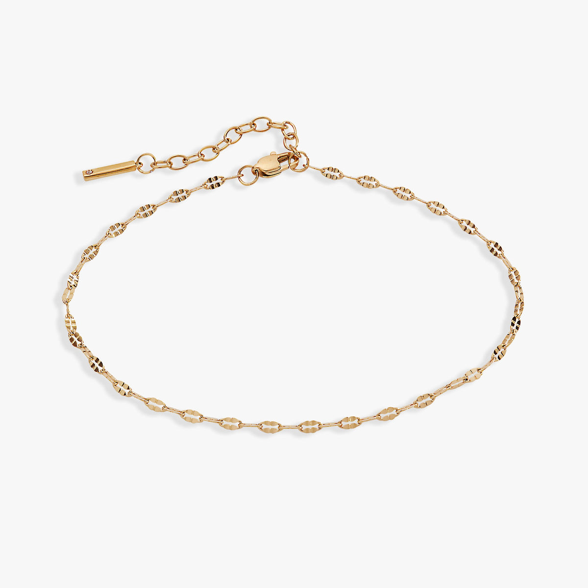 Alex and Ani Multi Faceted Chain Anklet