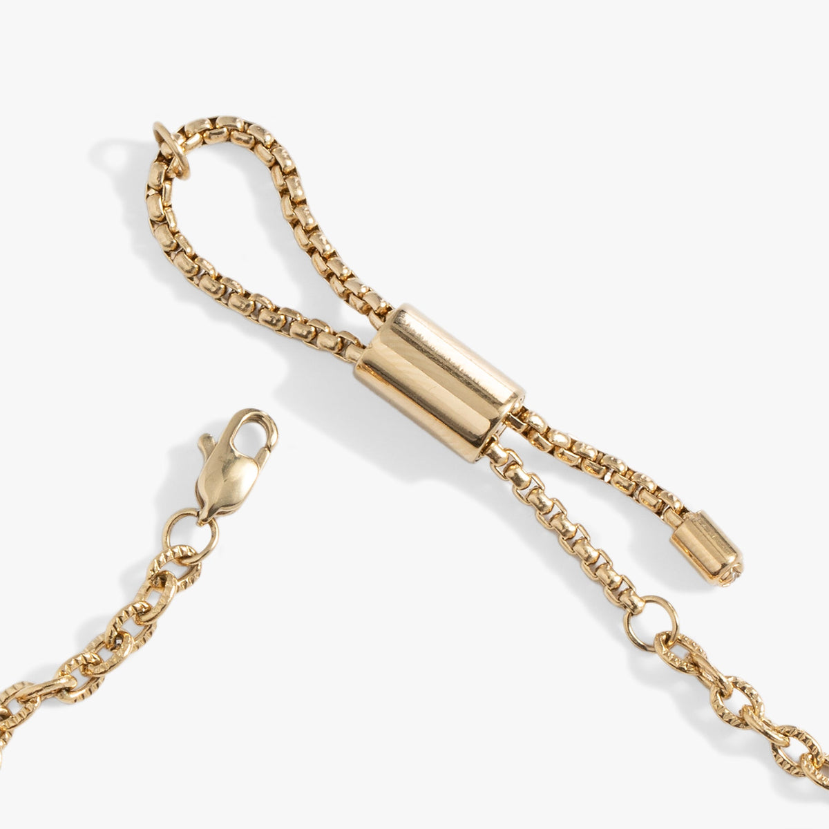 Alex and Ani Seaside Anklet