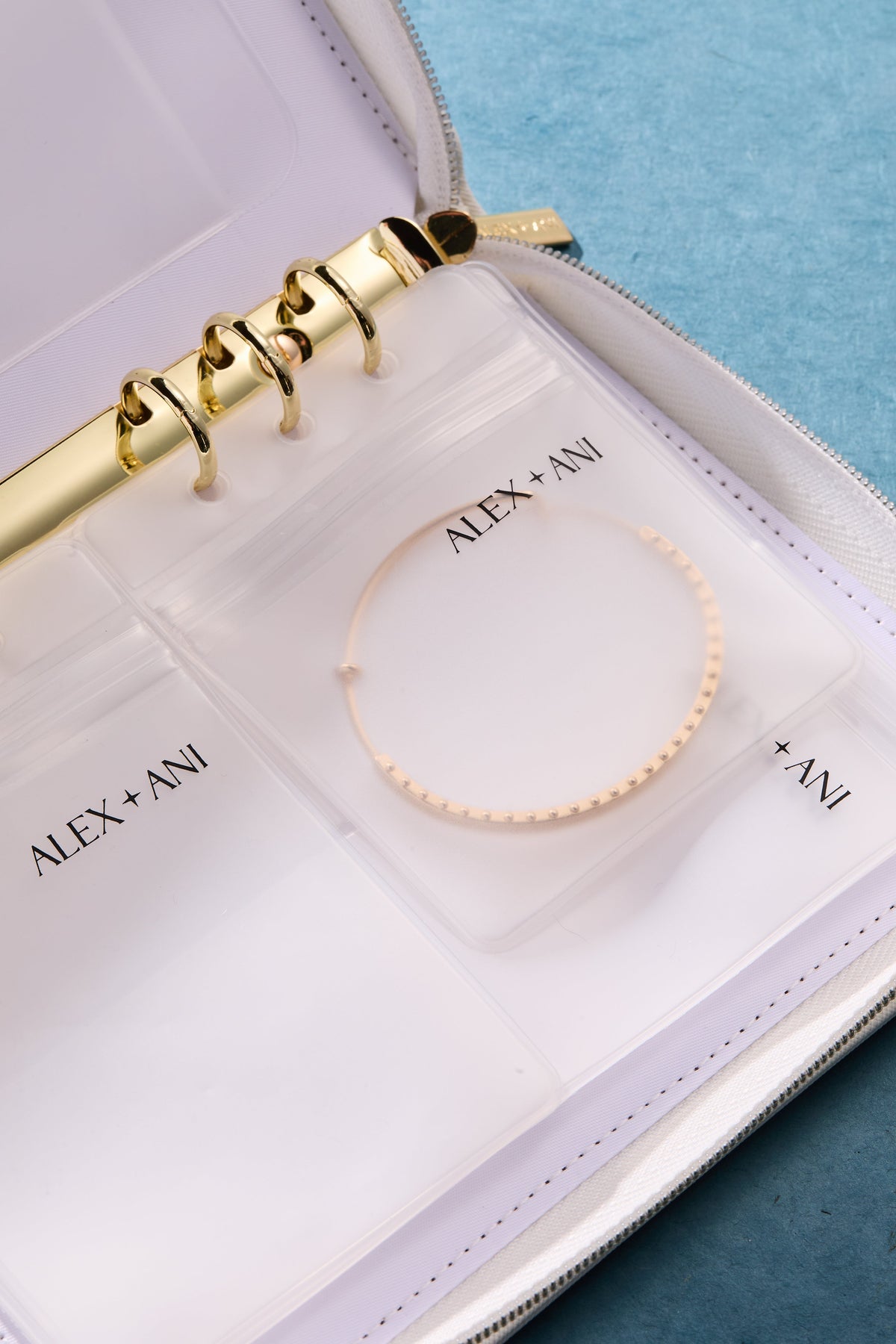 Alex and Ani Alex and Ani Jewelry Binder
