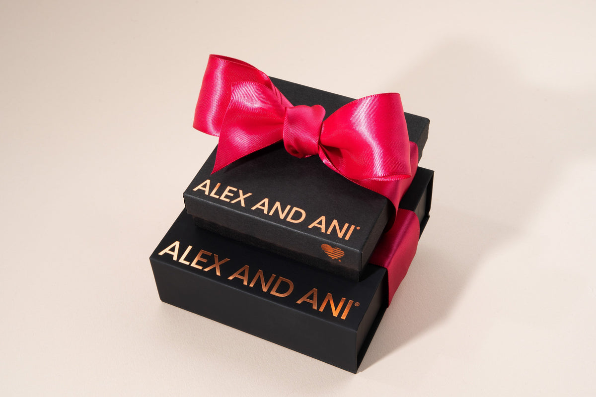 Alex and Ani Jewelry Gift Box - Alex and Ani