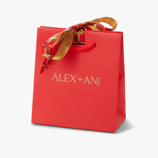 Alex and Ani Royal Red Gift Bag