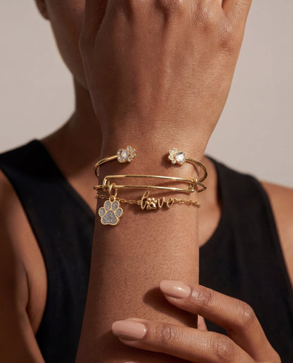 Alex and Ani Paws of Love Bracelet Set